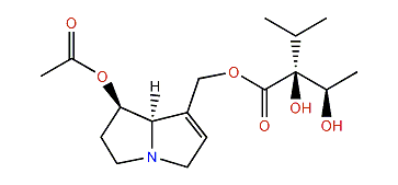 7-Intermedine acetate